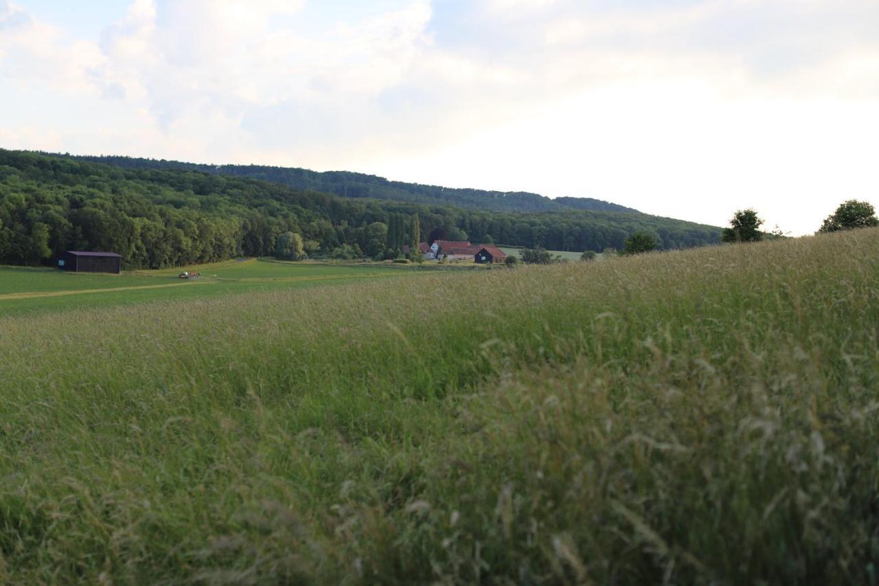 Landhaus "Am Sonnenberg" Diekholzen Eksteriør billede